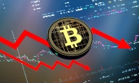港股科技股拉升，美团涨383%、阿里巴巴涨115%